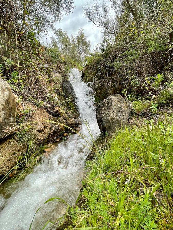 Cortijo Samadhi Guest House ลันจารอน ภายนอก รูปภาพ