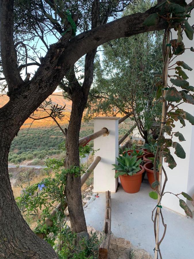 Cortijo Samadhi Guest House ลันจารอน ภายนอก รูปภาพ