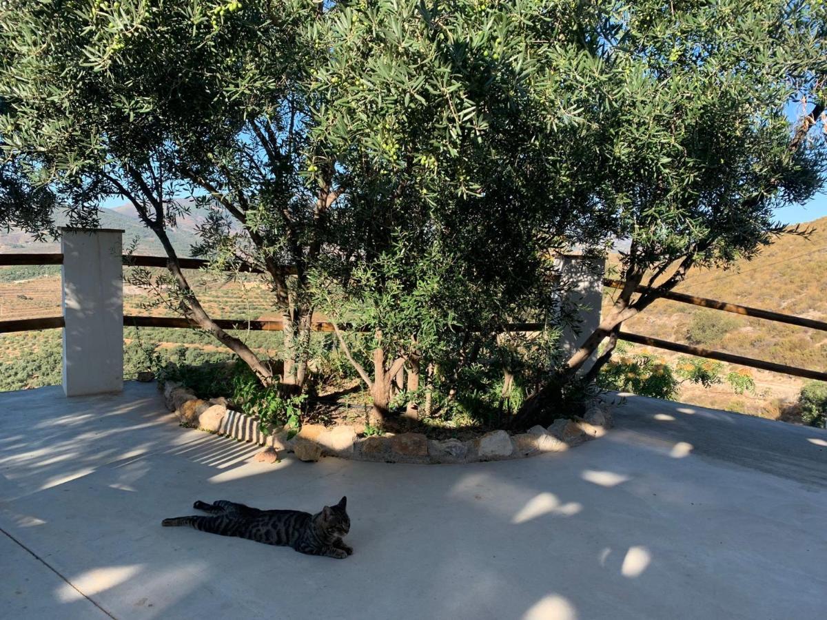 Cortijo Samadhi Guest House ลันจารอน ภายนอก รูปภาพ