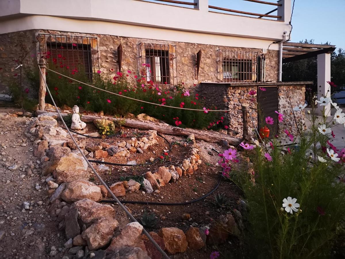 Cortijo Samadhi Guest House ลันจารอน ภายนอก รูปภาพ