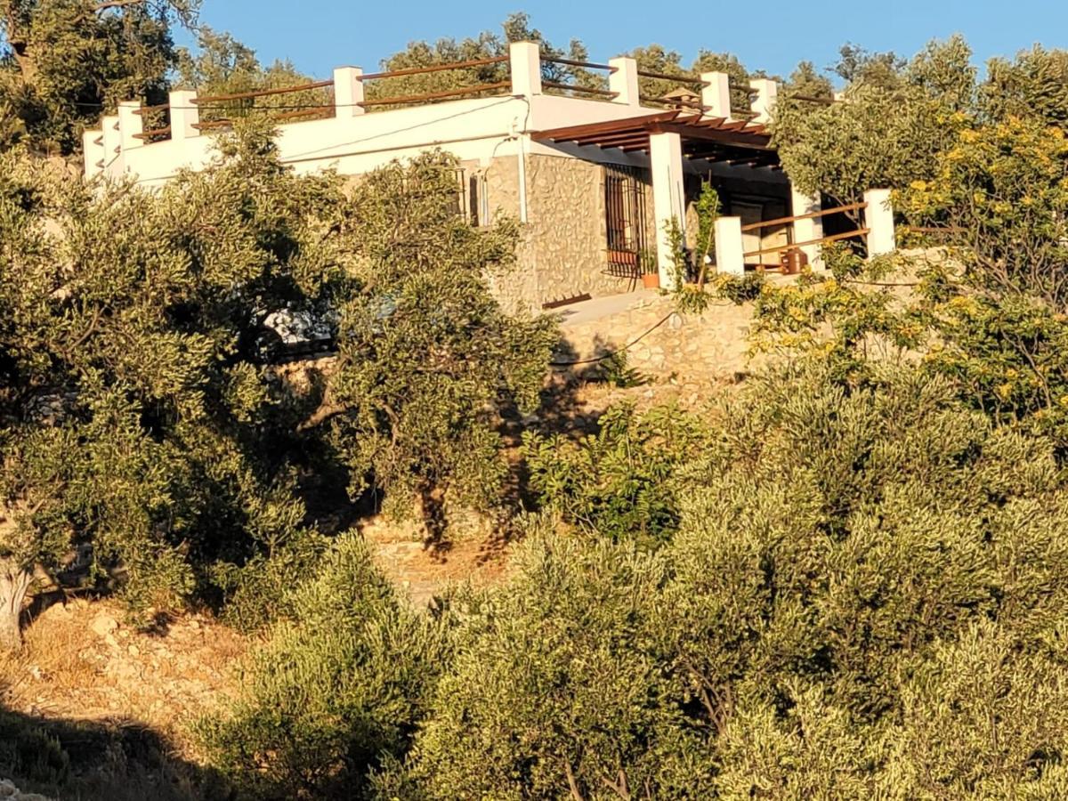 Cortijo Samadhi Guest House ลันจารอน ภายนอก รูปภาพ