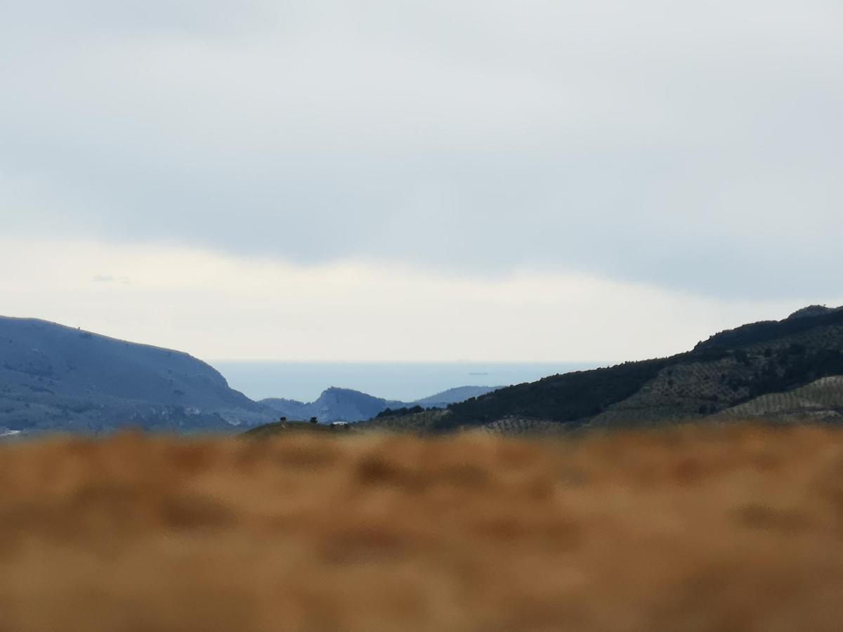 Cortijo Samadhi Guest House ลันจารอน ภายนอก รูปภาพ