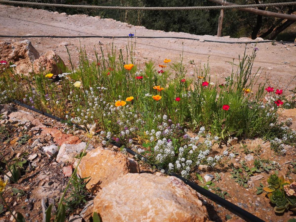 Cortijo Samadhi Guest House ลันจารอน ภายนอก รูปภาพ